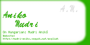 aniko mudri business card
